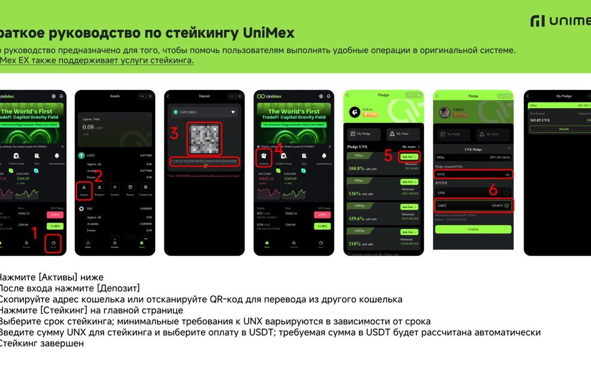 Стейкинг UniMex (UNX) 2026: 4 уровня от 144% до 300% APY